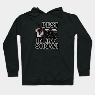 Best dog in my show - brown and white collie in snow oil painting word art Hoodie